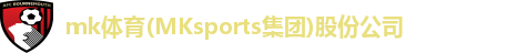 mk体育(MKsports集团)股份公司